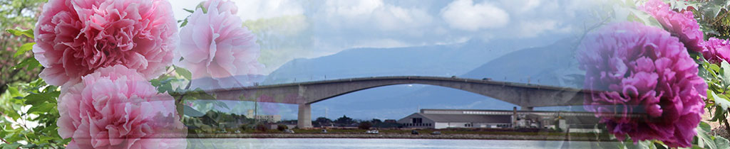 大根島牡丹・江島大橋