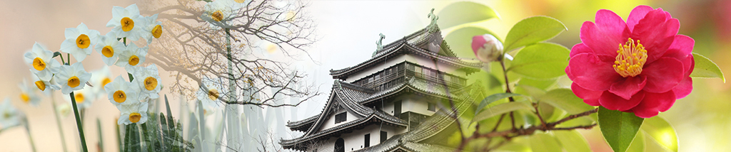 松江城・水仙・山茶花