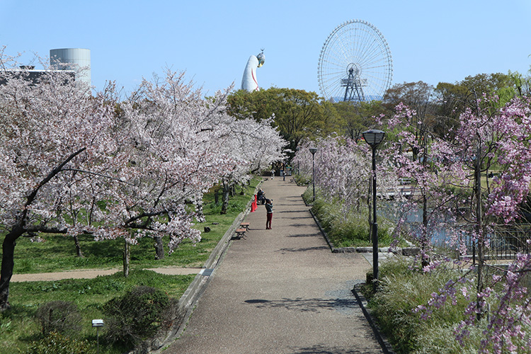 万博公園1