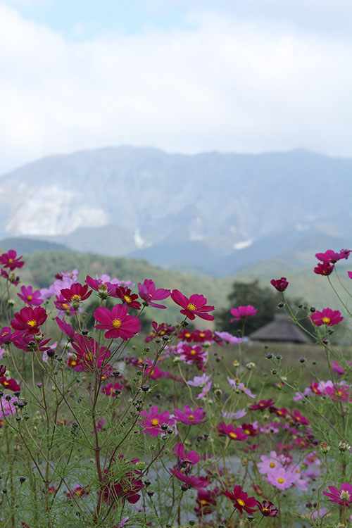 大山