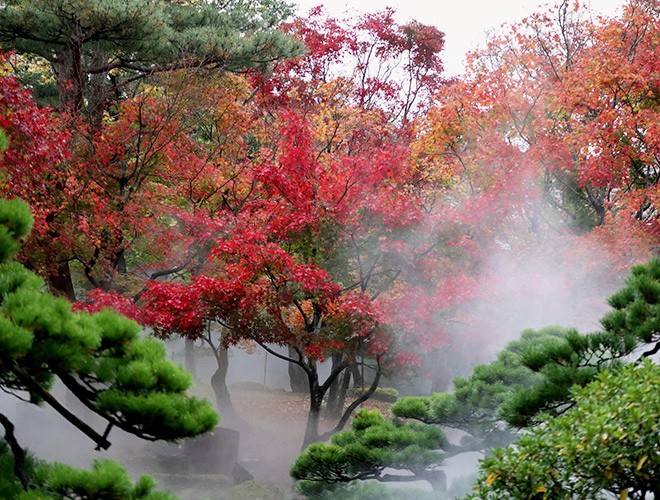 曲志園