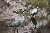 鶴見緑地公園2