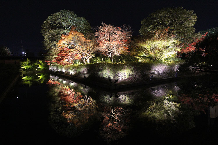 東寺　紅葉6