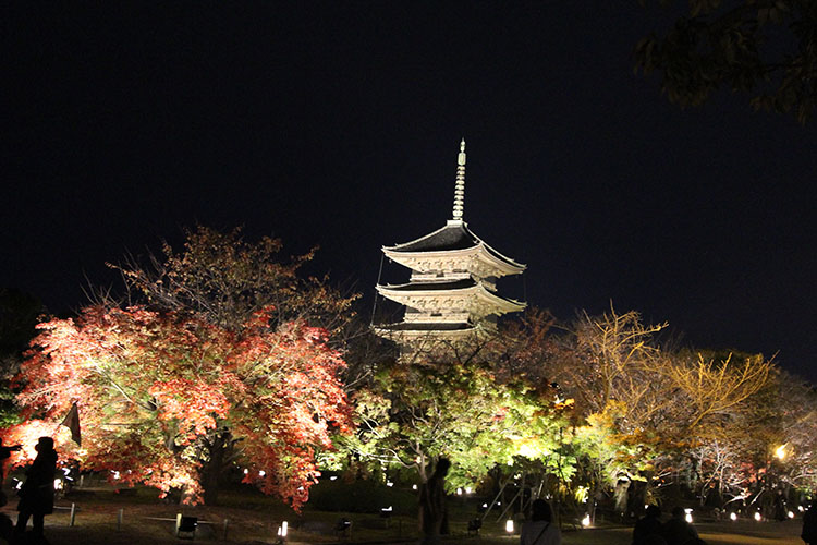 東寺　紅葉1