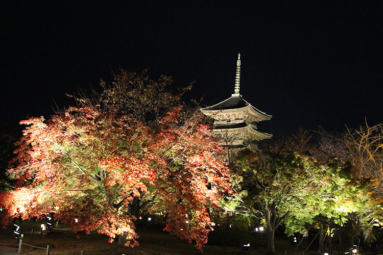 東寺　紅葉2