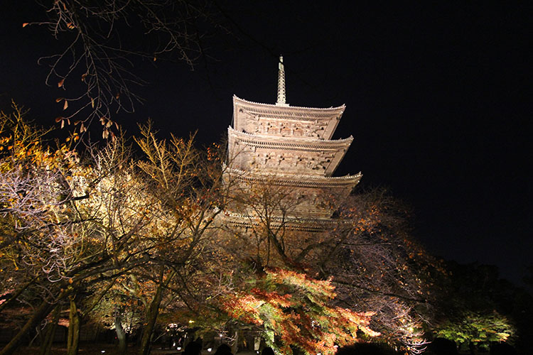 東寺　紅葉4