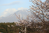 大山1