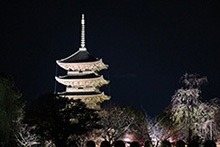 東寺夜景