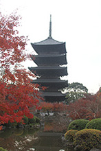 東寺紅葉