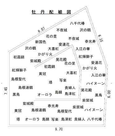 牡丹配置図