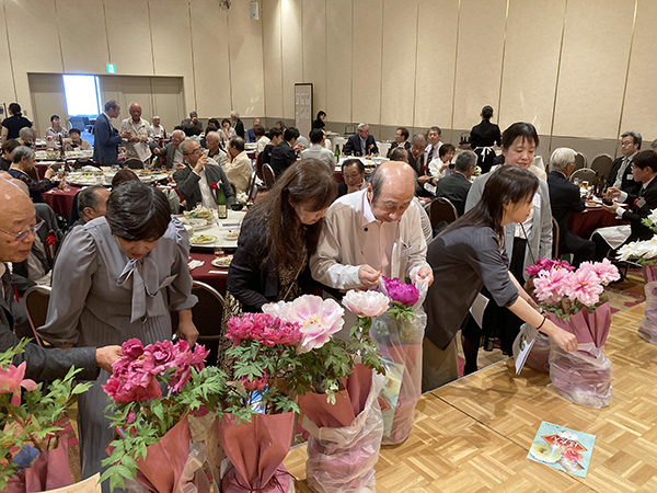 牡丹の鉢植え